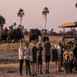 safaris in Africa
