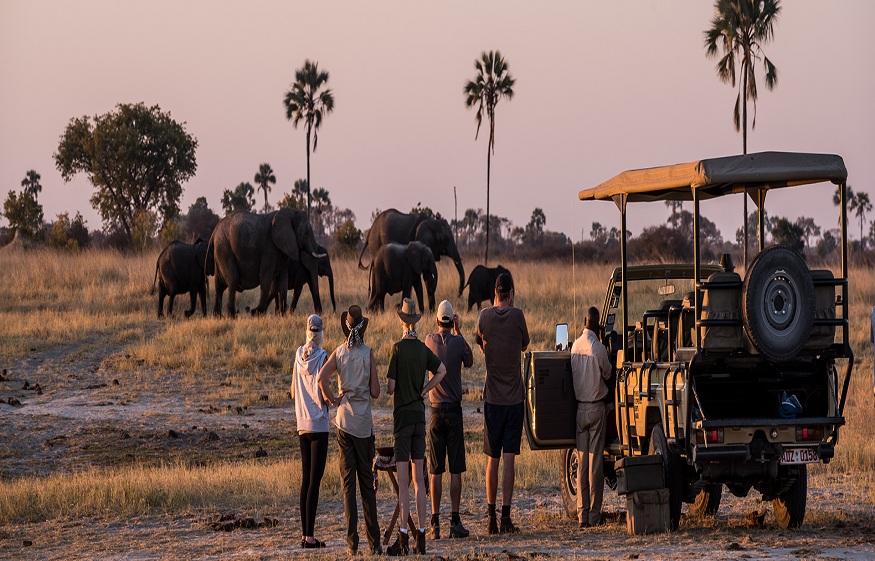 safaris in Africa